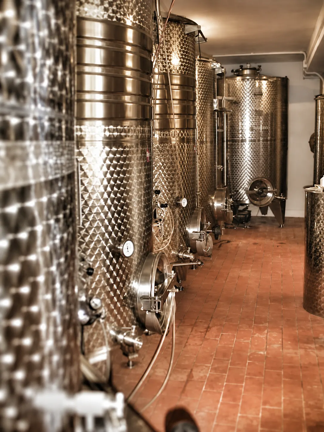 La cantina Lotti