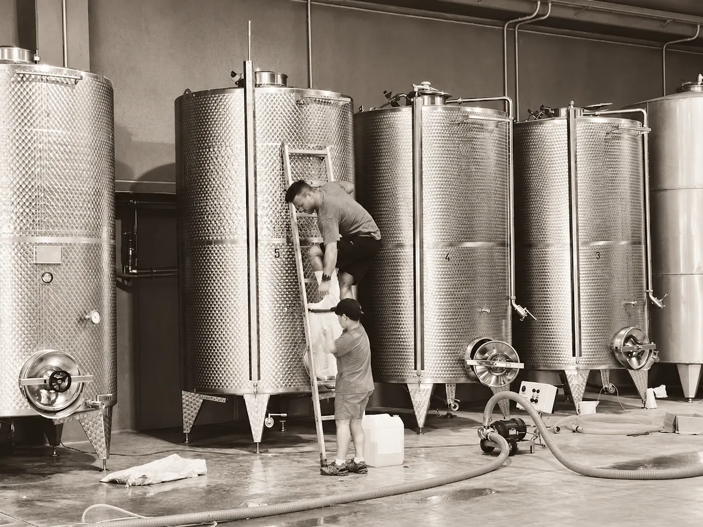 Il lavoro in cantina