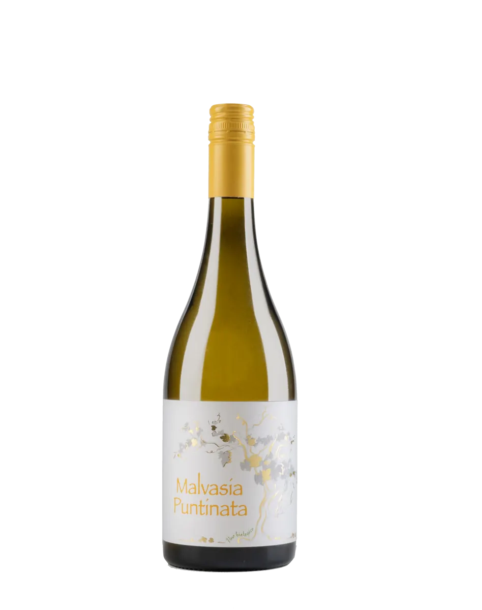 Bottiglia Malvasia Puntinata Lotti